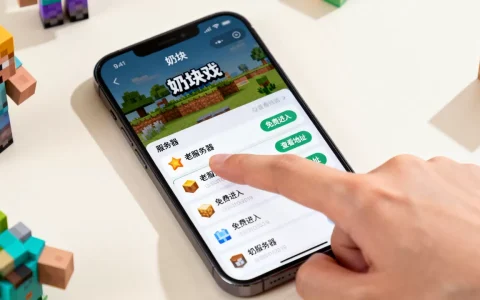 奶块有哪些老服务器可以免费进入，怎么查看服务器地址？
