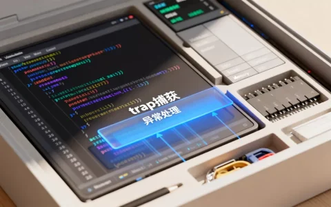 虚拟机trap捕获原理到底是什么,高效异常处理怎么做？
