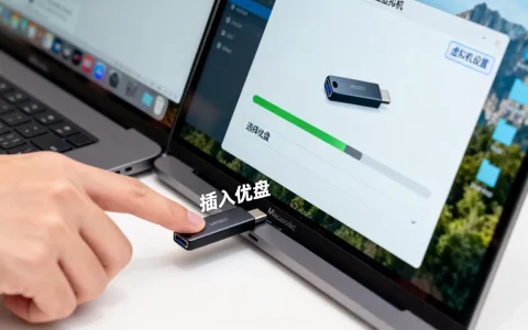 mac虚拟机中应该如何识别并使用优盘？，怎么操作