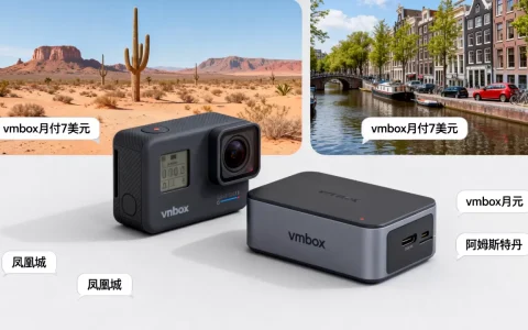 vmbox月付7美元划算吗，凤凰城阿姆斯特丹怎么选？