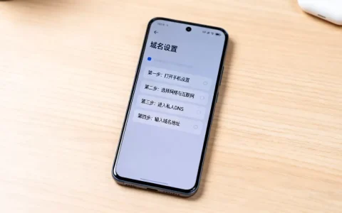 dz手机域名如何设置？，手机域名解析步骤是什么