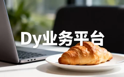 2026年最新：Dy业务平台