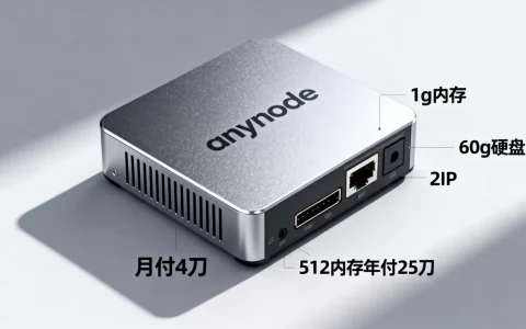 anynode-1g内存/60g硬盘/2IP/月付4刀(512内存年付25刀)
