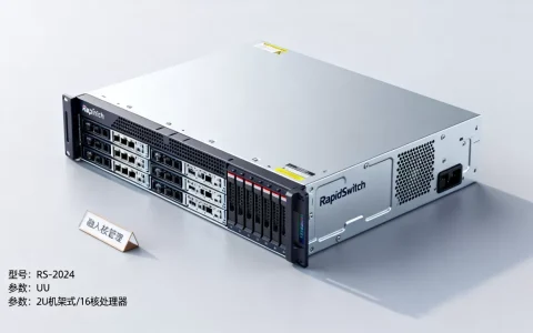 RapidSwitch全管理服务器特价值得买吗？，怎么选？