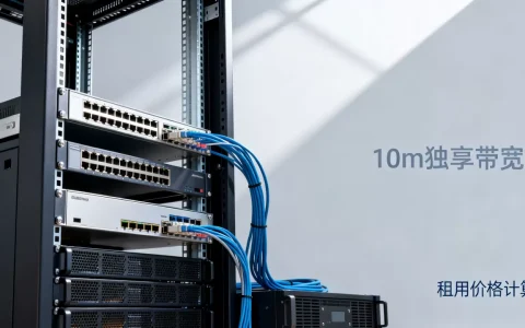 服务器独享10m带宽要多少钱，租用价格怎么算？