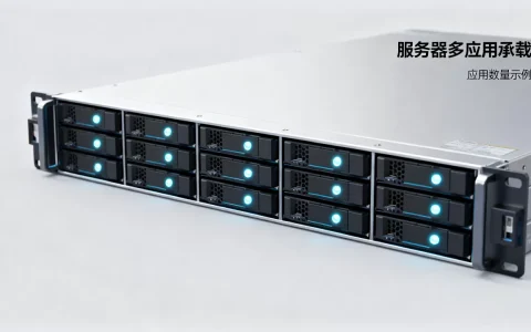 图片上的服务器能用多少个app