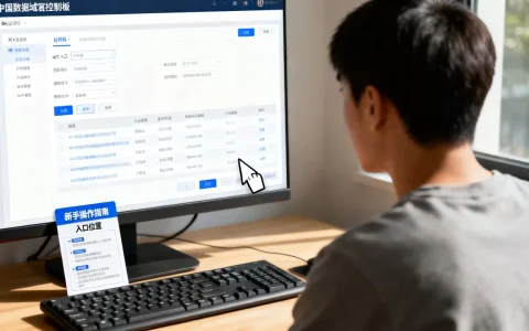 中国数据域名控制面板怎么用？新手操作指南入口在哪？