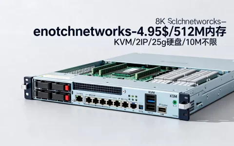 enotchnetworks-4.95$/512M内存KVM/2IP/25g硬盘/10M不限
