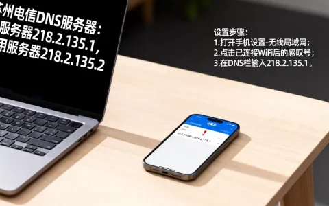 苏州电信DNS服务器是多少，怎么设置？