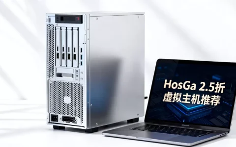 HostGa不可描述2.5折是真的吗，虚拟主机哪家好？