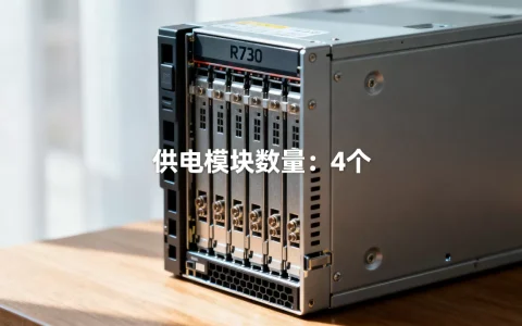 r730服务器多少个供电模块