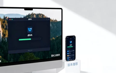 虚拟机10.0.6官方下载安全吗，虚拟机哪个版本好用？