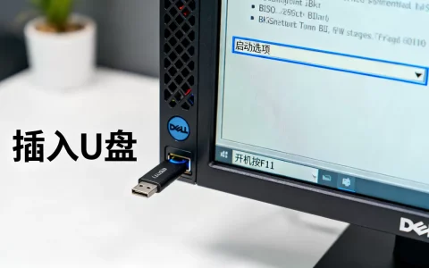 戴尔T110服务器怎么U盘装系统，bios设置u盘启动哪个键