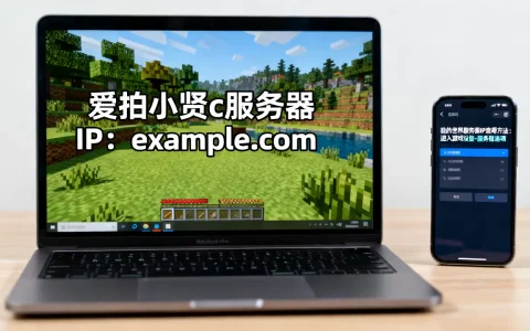 爱拍小贤c服务器IP地址是多少，我的世界服务器IP地址怎么看