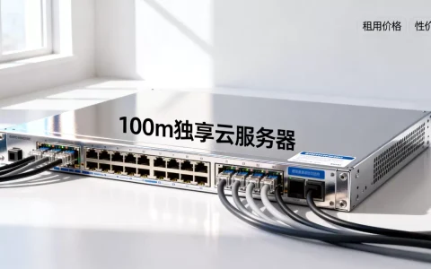 100m独享云服务器租用多少钱，100m独享云服务器哪家便宜