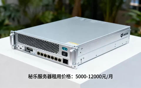 秘乐服务器一个卖多少钱呢，租用价格一般是多少