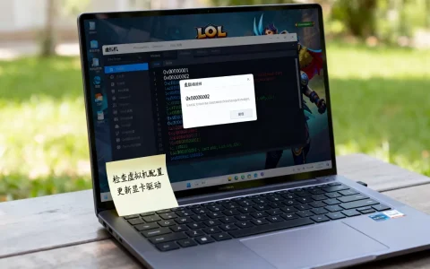 虚拟机LOL报错怎么办，运行LOL常见错误代码有哪些？