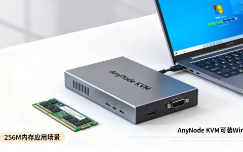AnyNode低价KVM可装Win吗，256M内存能做什么
