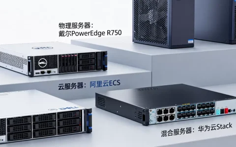 电商原生服务器有哪些种类可选，哪个品牌性价比高？