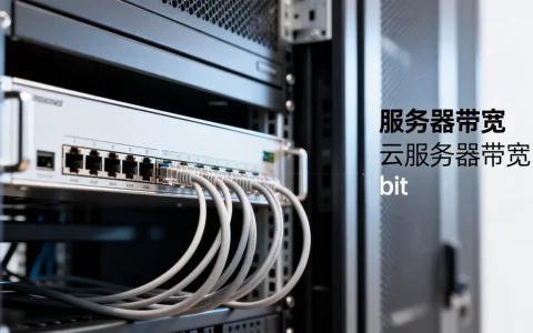 服务器带宽一般是多少bit，云服务器带宽多少够用？