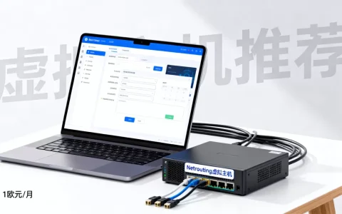 Netrouting虚拟主机1欧元每月真的吗，虚拟主机哪家好