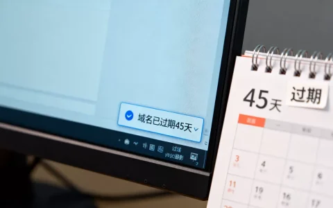 域名过期45天
