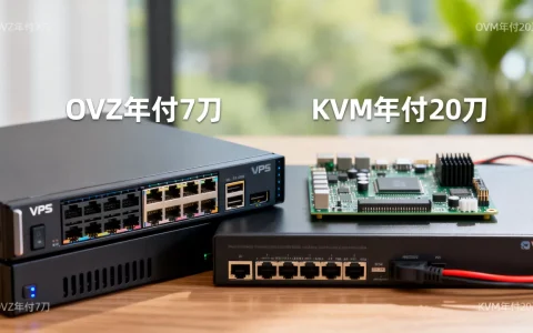 iniz特价OVZ年付7刀/KVM年付20刀靠谱吗，怎么样