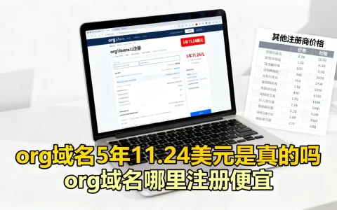 org域名5年11.24美元是真的吗，org域名哪里注册便宜