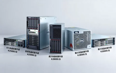 高晶硅服务器有哪些品牌值得买，高晶硅服务器价格多少钱一台？