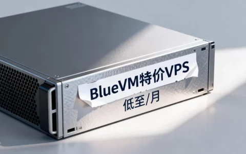 BlueVM最新特价VPS上货了吗，便宜VPS哪家好用？