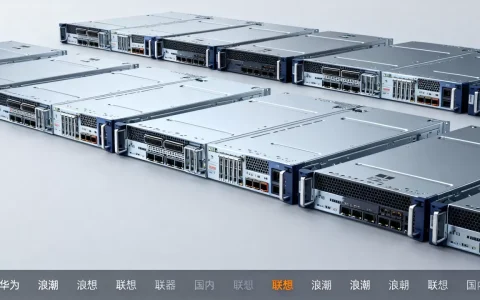 国内服务器品牌有哪些值得选，哪个牌子性价比高