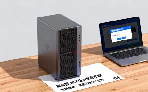 服务器.NET版本怎么查看，需要多少钱？