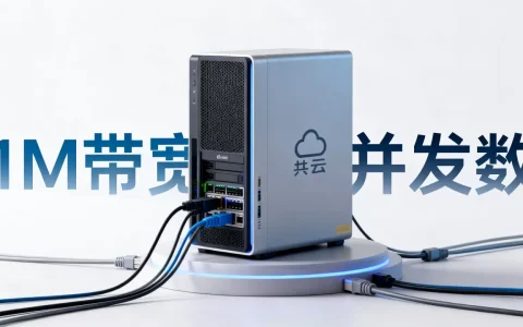 共享云服务器1M带宽能放几个网站呢，1m带宽能支持多少并发