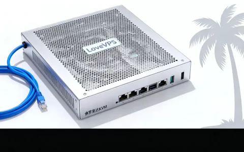 LoveVPS $7佛罗里达KVM怎么样，便宜VPS哪家好