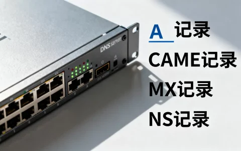 DNS服务器中有哪些记录类型