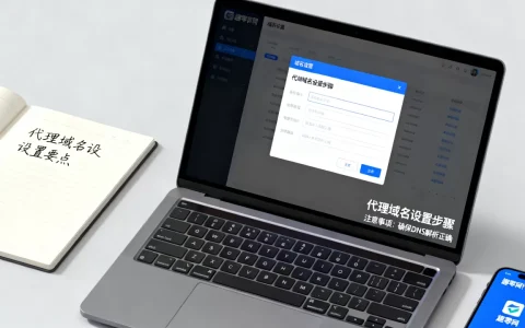 趣零网代理域名如何设置？有哪些注意事项？