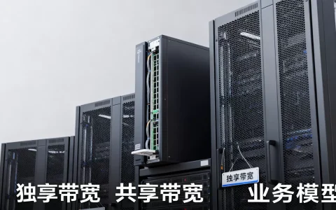 大带宽服务器到底选独享还是共享，业务模型怎么判断？