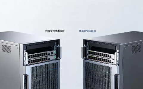 独享与共享大带宽服务器哪个成本低，大带宽服务器租用一年多少钱
