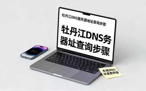 牡丹江DNS服务器地址怎么查，本地DNS设置多少最快？