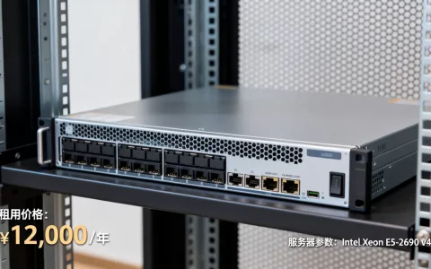 会所服务器一台究竟多少钱，服务器租用价格多少钱一年