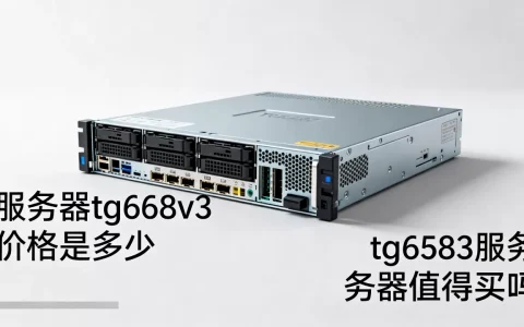 服务器tg658v3价格是多少，tg658v3服务器值得买吗
