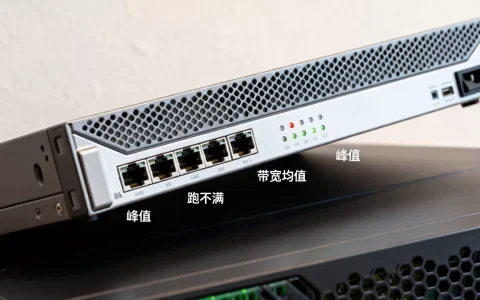 大带宽服务器实际均值为何远低于峰值，服务器带宽跑不满怎么回事