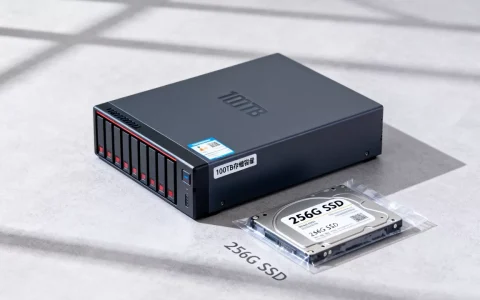 黑五100tb服务器送256G SSD值不值，怎么购买