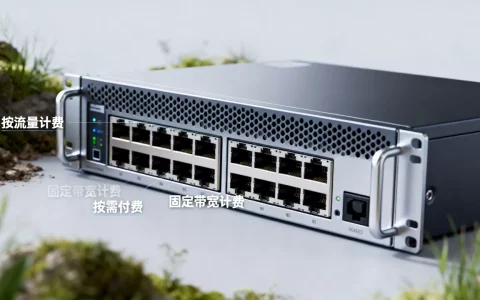 大带宽服务器不同计费模型怎么选？适用场景有哪些