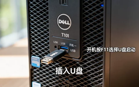 戴尔T110II服务器怎么U盘启动，服务器U盘启动按哪个键？