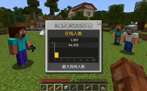 我的世界tis服务器到底多少人？,tis服务器最多多少人？