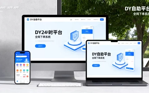 DY24小时自助下单全网是什么，有哪些平台？