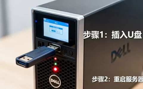 戴尔服务器U盘启动不了怎么办，启动项设置方法？