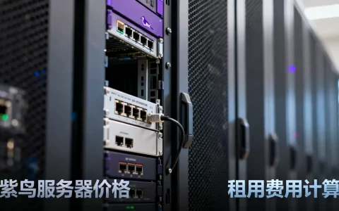 紫鸟服务器一台到底多少钱，紫鸟服务器租用价格怎么算？