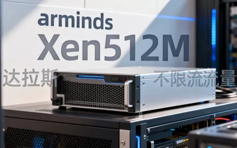 arminds$3 Xen512M达拉斯如何，不限流量值吗